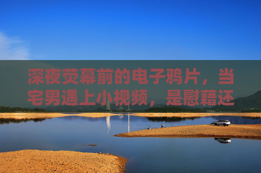 深夜荧幕前的电子鸦片,当宅男遇上小视频,是慰藉还是陷阱? 深夜荧幕前的电子鸦片,当宅男遇上小视频,是慰藉还是陷阱?