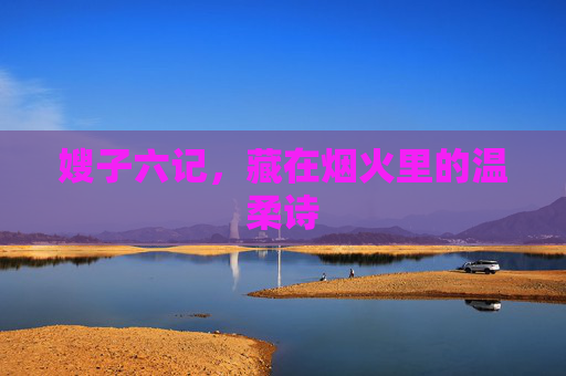 嫂子六记,藏在烟火里的温柔诗 嫂子六记,藏在烟火里的温柔诗
