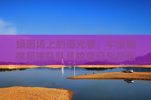 绿茵场上的追光者,中国国家足球队队员的坚守与梦想 绿茵场上的追光者,中国国家足球队队员的坚守与梦想