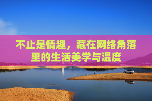 不止是情趣，藏在网络角落里的生活美学与温度