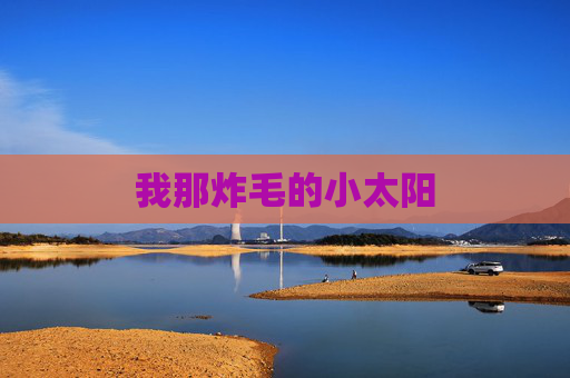 我那炸毛的小太阳 我那炸毛的小太阳