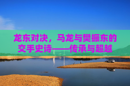 龙东对决,马龙与樊振东的交手史诗——传承与超越 龙东对决,马龙与樊振东的交手史诗——传承与超越