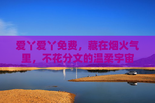 爱丫爱丫免费，藏在烟火气里，不花分文的温柔宇宙