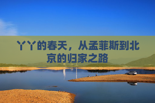 丫丫的春天,从孟菲斯到北京的归家之路 丫丫的春天,从孟菲斯到北京的归家之路