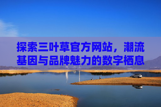 探索三叶草官方网站,潮流基因与品牌魅力的数字栖息地 探索三叶草官方网站,潮流基因与品牌魅力的数字栖息地