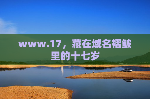 www.17,藏在域名褶皱里的十七岁 www.17,藏在域名褶皱里的十七岁