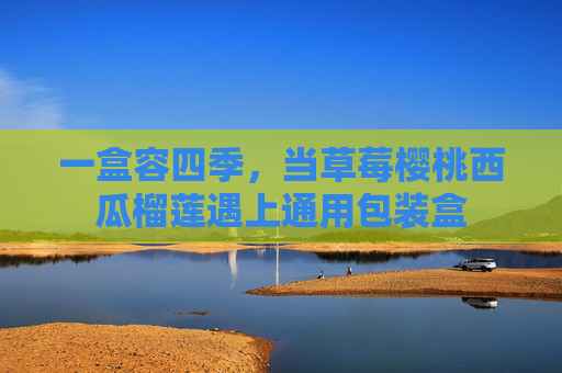 一盒容四季，当草莓樱桃西瓜榴莲遇上通用包装盒