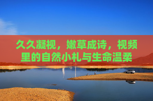 久久凝视,嫩草成诗,视频里的自然小札与生命温柔 久久凝视,嫩草成诗,视频里的自然小札与生命温柔