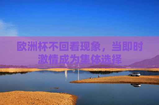 欧洲杯不回看现象,当即时激情成为集体选择 欧洲杯不回看现象,当即时激情成为集体选择