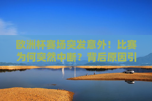 欧洲杯赛场突发意外！比赛为何突然中断？背后原因引关注