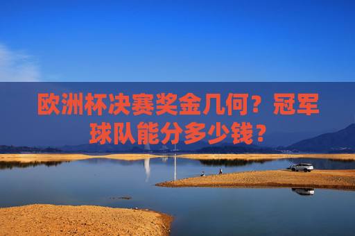 欧洲杯决赛奖金几何？冠军球队能分多少钱？