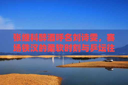 张继科醉酒呼名刘诗雯，赛场铁汉的柔软时刻与乒坛往事的回响
