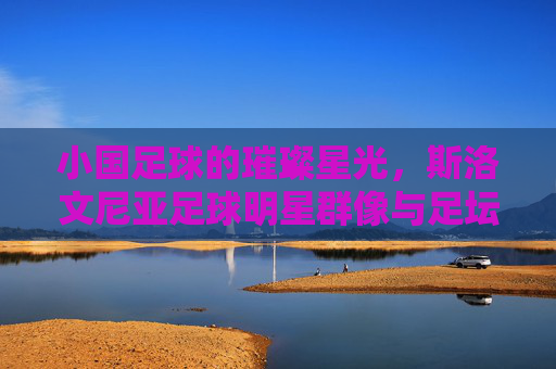 小国足球的璀璨星光,斯洛文尼亚足球明星群像与足坛印记 小国足球的璀璨星光,斯洛文尼亚足球明星群像与足坛印记