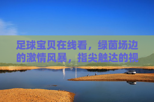 足球宝贝在线看,绿茵场边的激情风暴,指尖触达的视觉盛宴 足球宝贝在线看,绿茵场边的激情风暴,指尖触达的视觉盛宴