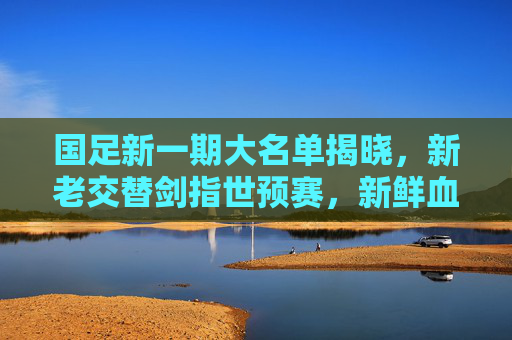 国足新一期大名单揭晓,新老交替剑指世预赛,新鲜血液注入期待与挑战 国足新一期大名单揭晓,新老交替剑指世预赛,新鲜血液注入期待与挑战