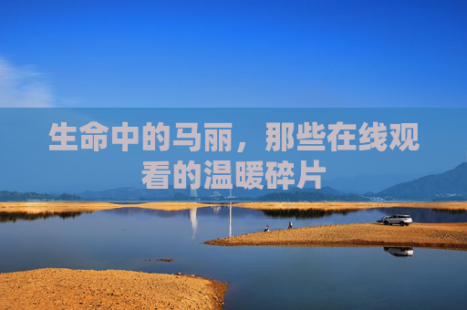 生命中的马丽,那些在线观看的温暖碎片 生命中的马丽,那些在线观看的温暖碎片