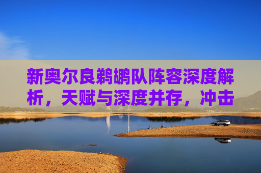 新奥尔良鹈鹕队阵容深度解析,天赋与深度并存,冲击季后赛的年轻力量 新奥尔良鹈鹕队阵容深度解析,天赋与深度并存,冲击季后赛的年轻力量