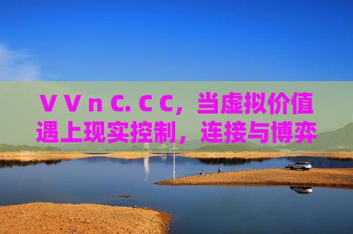 V V n C. C C，当虚拟价值遇上现实控制，连接与博弈的数字时代