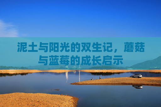 泥土与阳光的双生记，蘑菇与蓝莓的成长启示