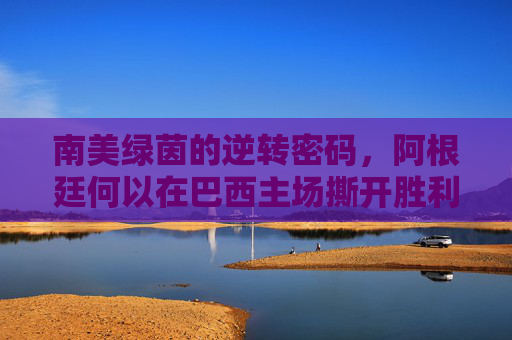 南美绿茵的逆转密码,阿根廷何以在巴西主场撕开胜利之门? 南美绿茵的逆转密码,阿根廷何以在巴西主场撕开胜利之门?