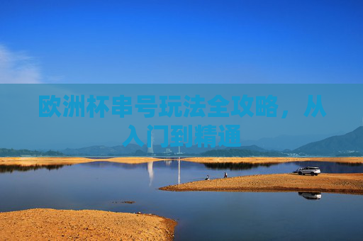 欧洲杯串号玩法全攻略,从入门到精通 欧洲杯串号玩法全攻略,从入门到精通