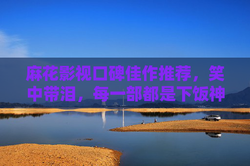 麻花影视口碑佳作推荐，笑中带泪，每一部都是下饭神片！