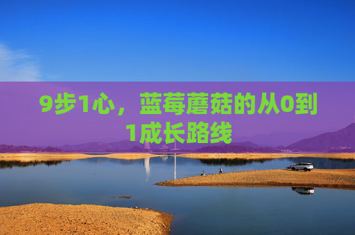 9步1心,蓝莓蘑菇的从0到1成长路线 9步1心,蓝莓蘑菇的从0到1成长路线
