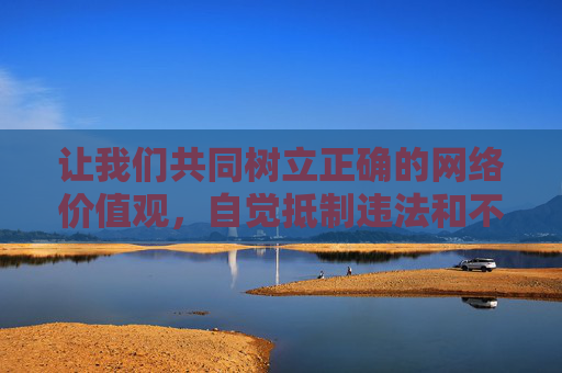 让我们共同树立正确的网络价值观，自觉抵制违法和不良信息，为构建文明、和谐的网络空间贡献力量