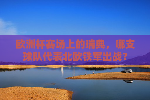 欧洲杯赛场上的瑞典,哪支球队代表北欧铁军出战? 欧洲杯赛场上的瑞典,哪支球队代表北欧铁军出战?