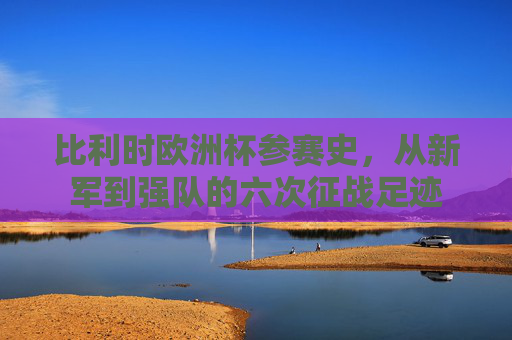 比利时欧洲杯参赛史,从新军到强队的六次征战足迹 比利时欧洲杯参赛史,从新军到强队的六次征战足迹