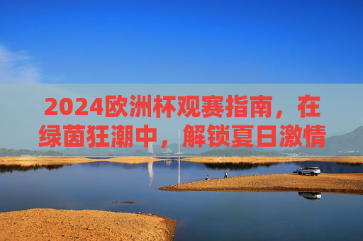 2024欧洲杯观赛指南，在绿茵狂潮中，解锁夏日激情