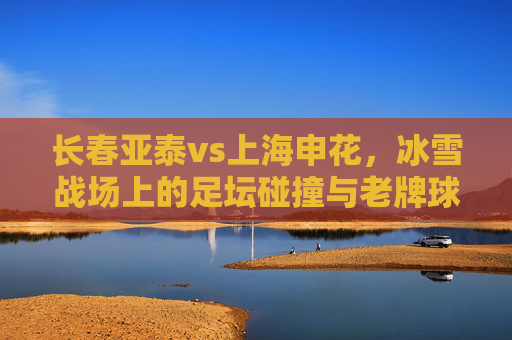 长春亚泰vs上海申花,冰雪战场上的足坛碰撞与老牌球队的坚守 长春亚泰vs上海申花,冰雪战场上的足坛碰撞与老牌球队的坚守