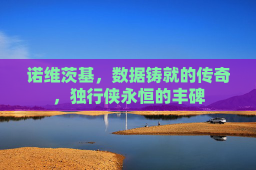 诺维茨基，数据铸就的传奇，独行侠永恒的丰碑