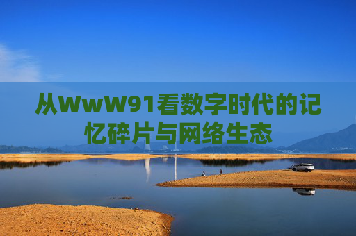 从WwW91看数字时代的记忆碎片与网络生态