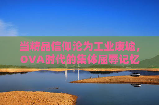 当精品信仰沦为工业废墟,OVA时代的集体屈辱记忆 当精品信仰沦为工业废墟,OVA时代的集体屈辱记忆