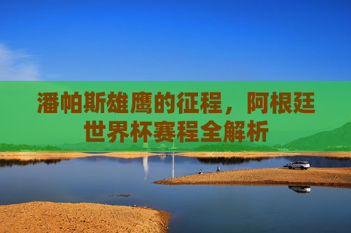 潘帕斯雄鹰的征程，阿根廷世界杯赛程全解析