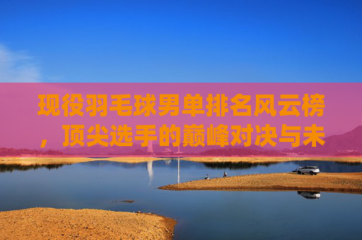 现役羽毛球男单排名风云榜，顶尖选手的巅峰对决与未来展望
