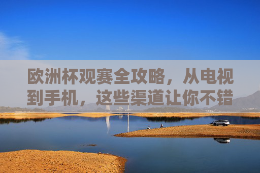 欧洲杯观赛全攻略，从电视到手机，这些渠道让你不错过每一分钟！