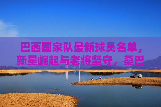 巴西国家队最新球员名单，新星崛起与老将坚守，桑巴军团剑指新荣耀