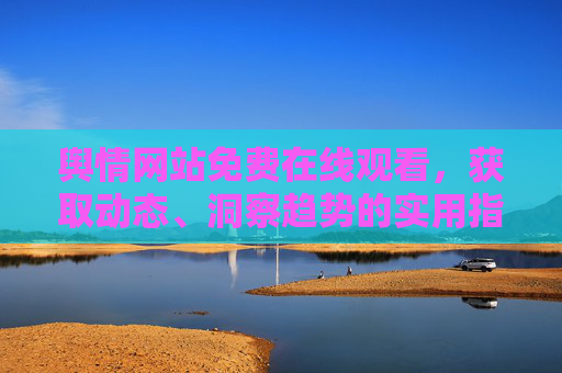 舆情网站免费在线观看，获取动态、洞察趋势的实用指南
