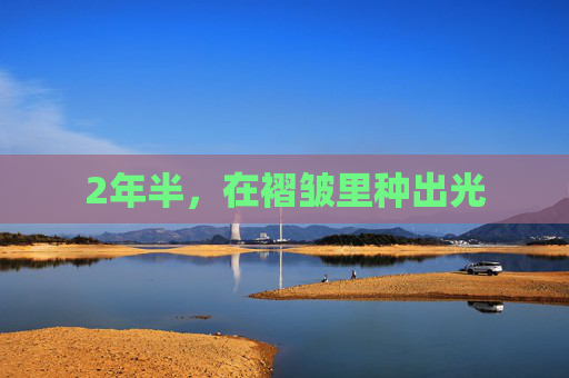 2年半，在褶皱里种出光