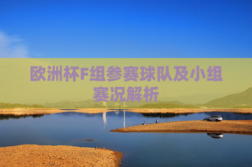 欧洲杯F组参赛球队及小组赛况解析