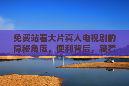 免费站看大片真人电视剧的隐秘角落，便利背后，藏着多少光影与风险？