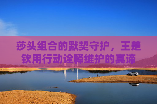 莎头组合的默契守护,王楚钦用行动诠释维护的真谛 莎头组合的默契守护,王楚钦用行动诠释维护的真谛