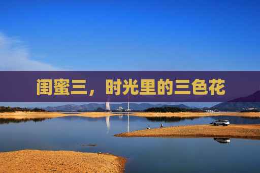 闺蜜三,时光里的三色花 闺蜜三,时光里的三色花