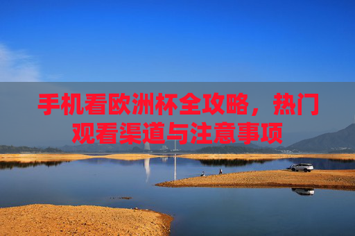 手机看欧洲杯全攻略，热门观看渠道与注意事项