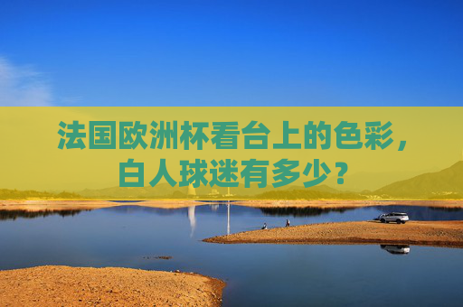 法国欧洲杯看台上的色彩,白人球迷有多少? 法国欧洲杯看台上的色彩,白人球迷有多少?