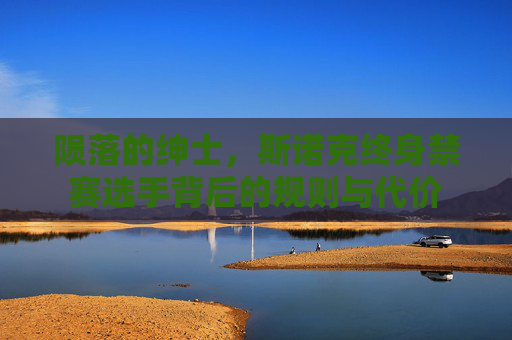 陨落的绅士，斯诺克终身禁赛选手背后的规则与代价