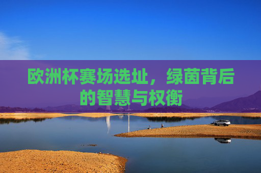 欧洲杯赛场选址，绿茵背后的智慧与权衡
