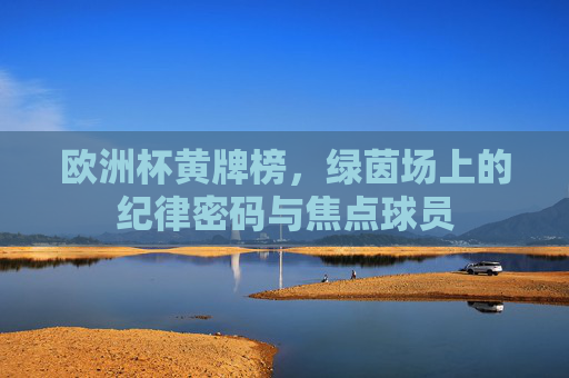 欧洲杯黄牌榜，绿茵场上的纪律密码与焦点球员